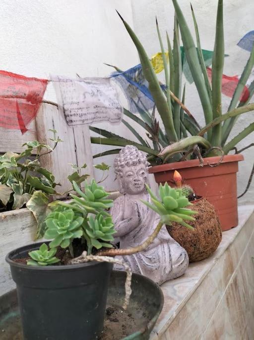 Casa Marta Διαμέρισμα Κάλιαρι Εξωτερικό φωτογραφία